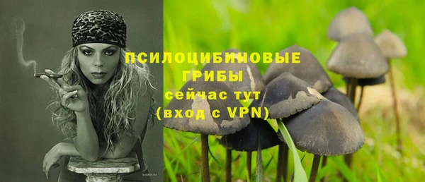 меф Нефтегорск