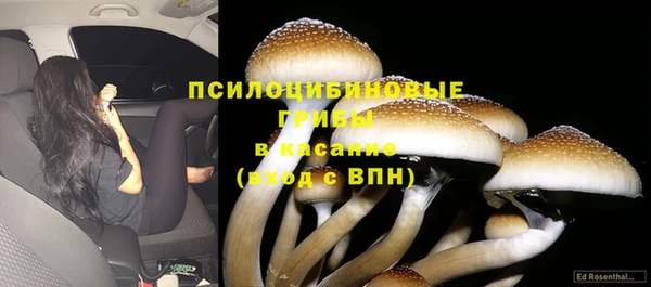 jwh Нефтекумск